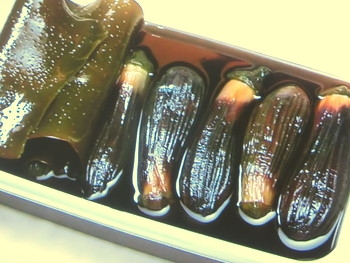 【きょうの料理】なすの丸煮のレシピ・堀知佐子