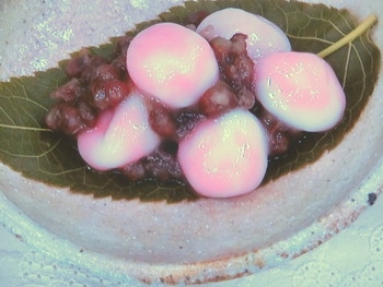 【あさイチ】桜白玉のレシピ・舘野鏡子・解決！ごはん