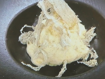 【あさイチ】ととろ昆布入りジェラートのレシピ・日高良実・解決！ごはん