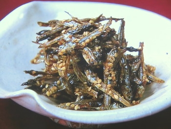 【きょうの料理】田作りのレシピ・田村隆