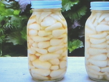 【きょうの料理】甘酢漬けらっきょうのレシピ・辰巳 芳子