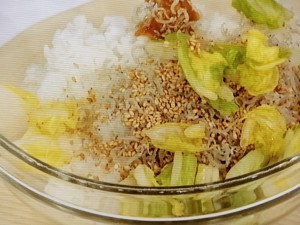白菜麺と梅シソジャコご飯