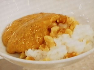 【あさイチ】マンゴーローカレーのレシピ・スゴ技Q・山脇りこ