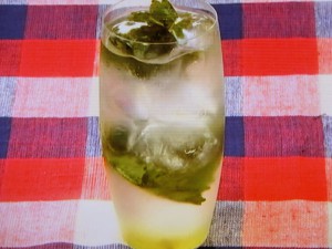 【男子ごはん】しそとすだちのモヒートのレシピ・国分太一・栗原心平