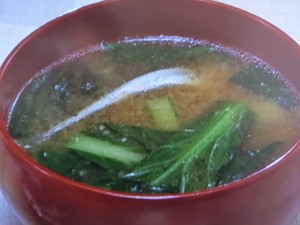 【おかずのクッキング】小松菜の炒め味噌汁のレシピ・土井善晴