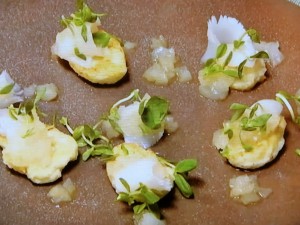 【きょうの料理】いかのあぶりカルパッチョのレシピ・中江義行