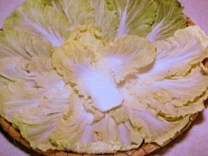 【きょうの料理】干し白菜のレシピ・藤井恵