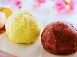 【きょうの料理】ぼたもちのレシピ・ユイミコ