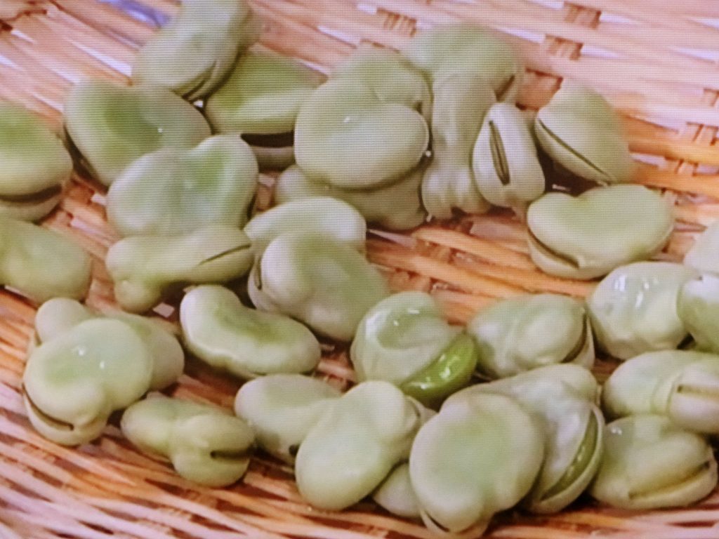 【きょうの料理】そら豆の塩ゆでのレシピ・清水信子