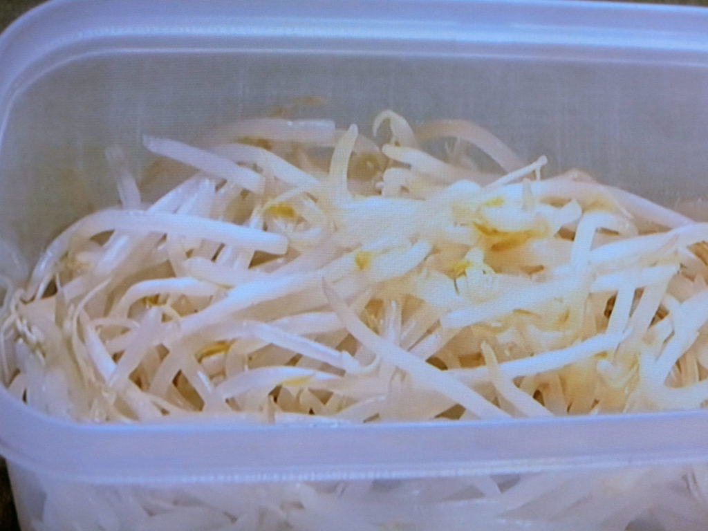 【きょうの料理】レンチンもやしのレシピ・瀬尾幸子