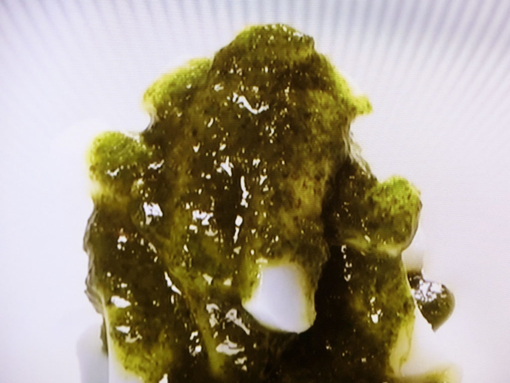 【あさイチ】いかの椒麻（ジャオマー）ソースのレシピ・ハレトケキッチン・山野辺仁・阿部サダヲ