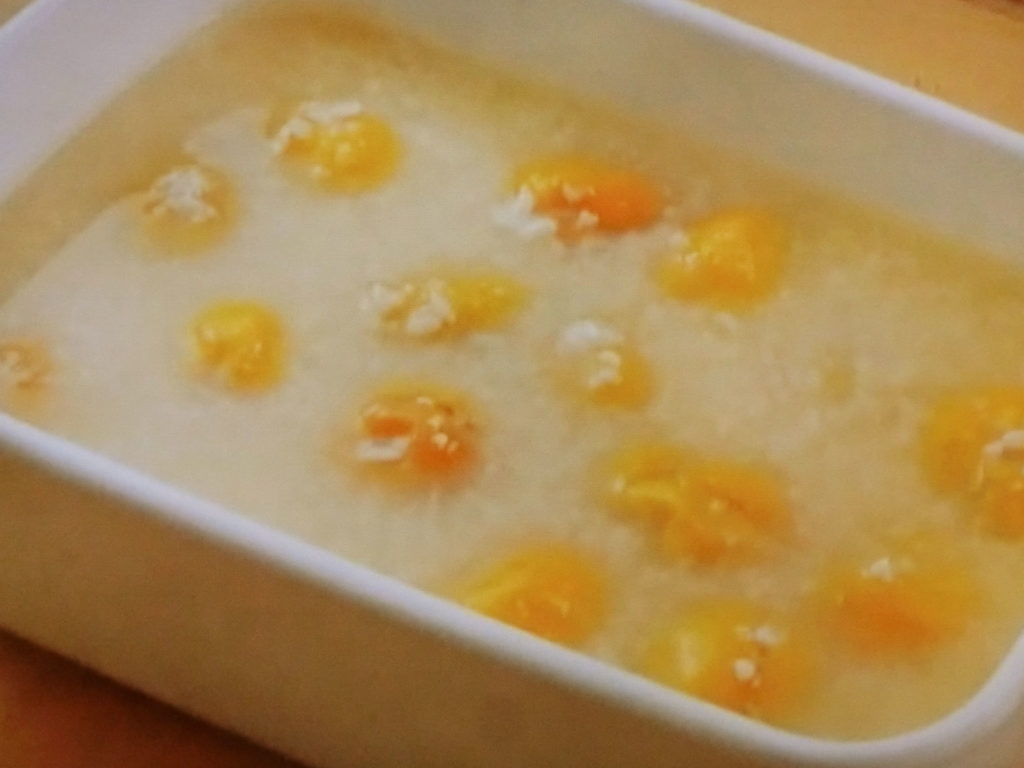 【きょうの料理】梅の塩麹漬けのレシピ・舘野真知子