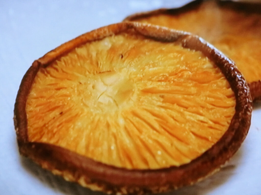 【相葉マナブ】焼きしいたけのレシピ・小峠英二（バイきんぐ）・澤部佑（ハライチ）・相葉雅紀