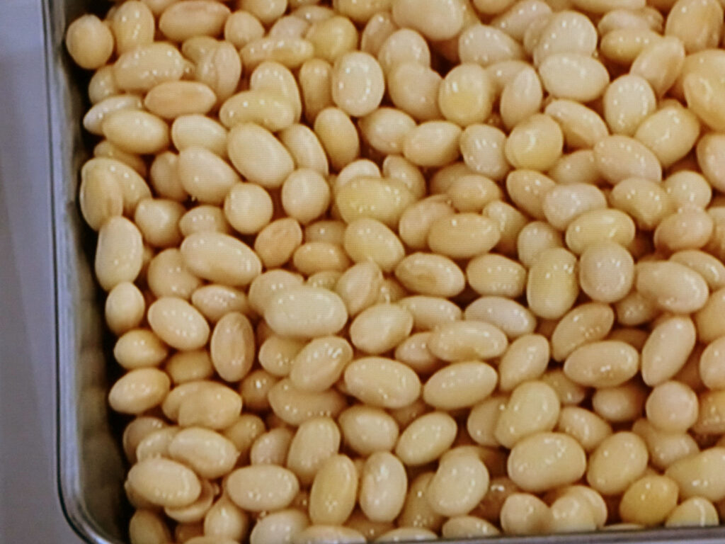【あさイチ】蒸し大豆のレシピ・みんな！ゴハンだよ・ワタナベマキ
