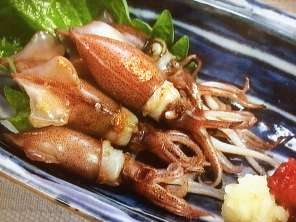 【きょうの料理】あぶりほたるいかの梅しょうがじょうゆのレシピ・大原千鶴