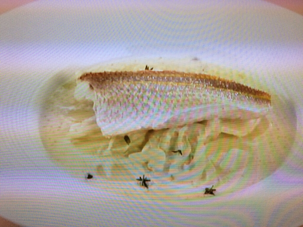 【上沼恵美子のおしゃべりクッキング】新じゃがとイトヨリのクリーム煮のレシピ・上沼恵美子・小池浩司