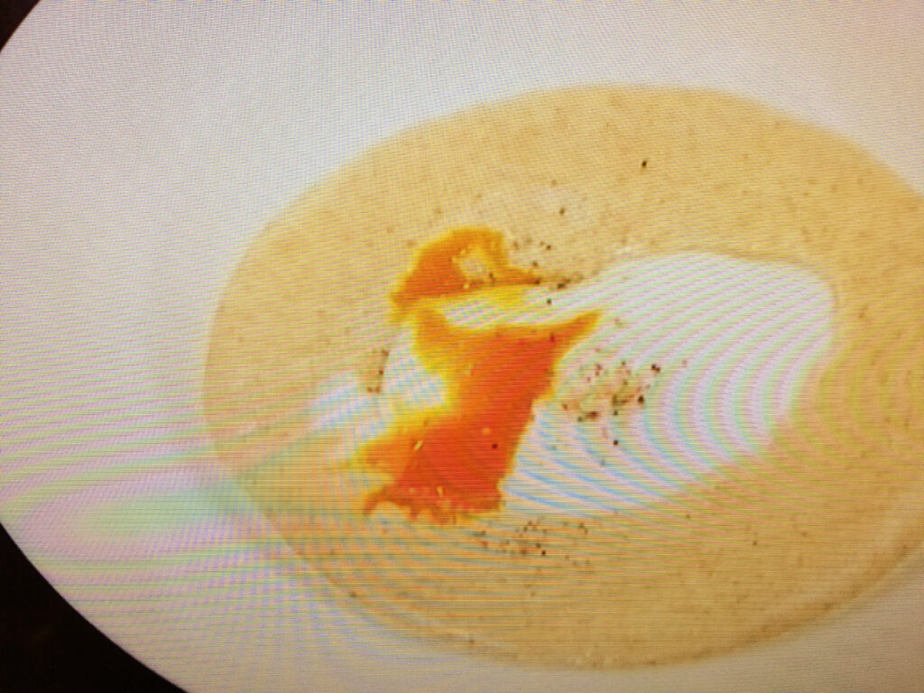 【きょうの料理】パンのポタージュのレシピ・樋口直哉