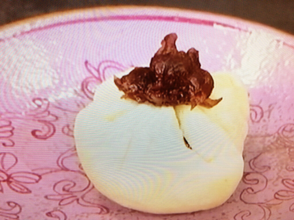 【きょうの料理】レンジであんまんパンのレシピ・しらいのりこ