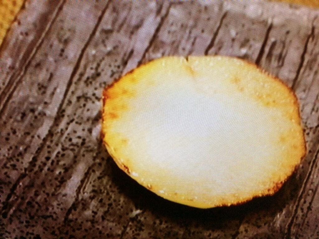 【相葉マナブ】コールラビのステーキのレシピ・小峠英二（バイきんぐ）・澤部佑（ハライチ）・相葉雅紀