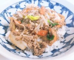 あさイチのレシピ・豆腐入りひき肉ともやしの和風甘辛あんかけ丼