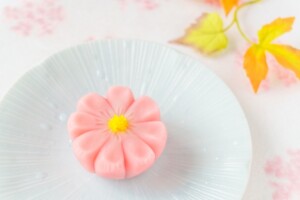 さらさらサラダのレシピ・桜の生菓子