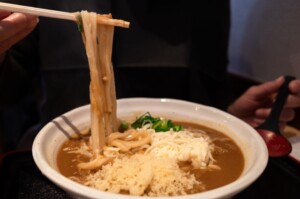 ダウンタウンDXのレシピ・ドロドロチーズカレーうどん