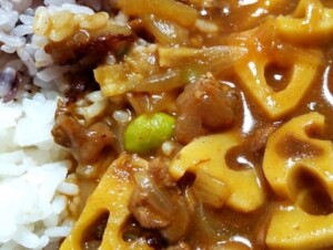 きょうの料理のレシピ・れんこんと豚肉のカレー