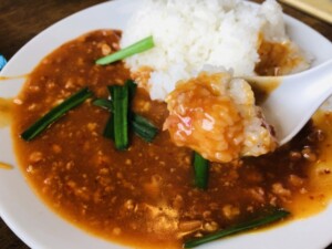 土曜はナニするのレシピ・坦々白菜あんかけご飯