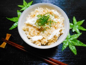 きょうの料理のレシピ・ガリと干物の混ぜずし