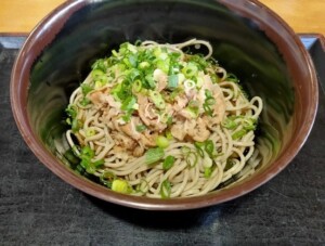 男子ごはんのレシピ・刻み揚げと薬味のあんかけそば