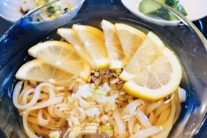 ヒルナンデスのレシピ・海苔レモンうどん