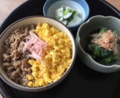 あさイチのレシピ・名店風のそぼろ丼