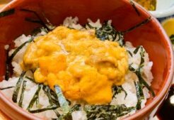 ヒルナンデスのレシピ・ナンちゃってウニ丼