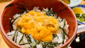 ヒルナンデスのレシピ・ナンちゃってウニ丼