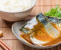 DAIGOも台所のレシピ・鯖の味噌煮