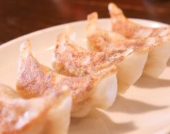 どさんこワイド179のレシピ・トウキビ餃子