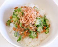 相葉マナブのレシピ・水ナスとモロヘイヤのネバネバ丼