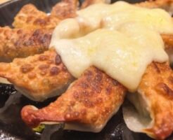 ZIPのレシピ・ザクザクデミチーズ餃子