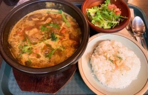 ノンストップのレシピ・鶏ゴボウスープカレー