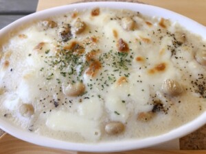 きょうの料理のレシピ・豆ときのこのグラタン