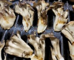 ミキティダイニングのレシピ・プレス舞茸