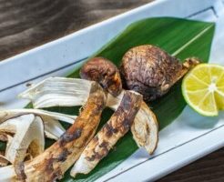 相葉マナブのレシピ・焼き松茸