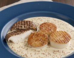 どさんこワイド179のレシピ・エリンギのホタテ風クリームソース