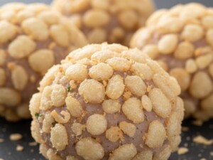 あさイチのレシピ・天かすギョーザ