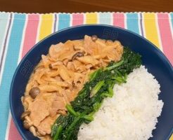 ノンストップのレシピ・ポークストロガノフ