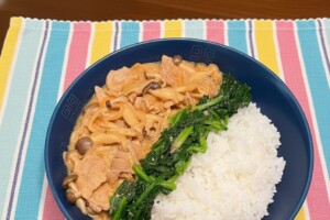 ノンストップのレシピ・ポークストロガノフ