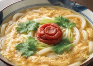 きょうの料理ビギナーズのレシピ・梅のせ卵とじうどん