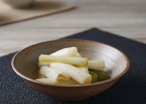 ノンストップのレシピ・長ネギのマリネ