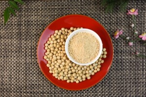 きょうの料理のレシピ・手づくりきな粉