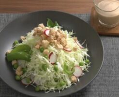 きょうの料理のレシピ・キャベツとスナップえんどうのマスタードドレッシング